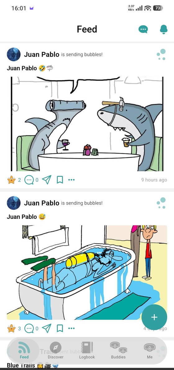The feed