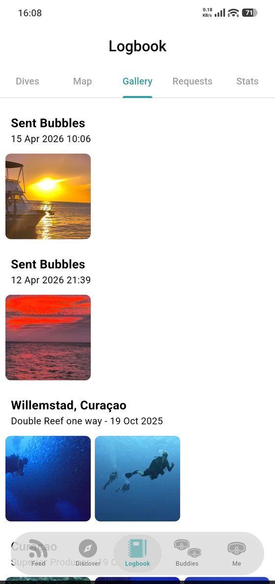 Your gallery