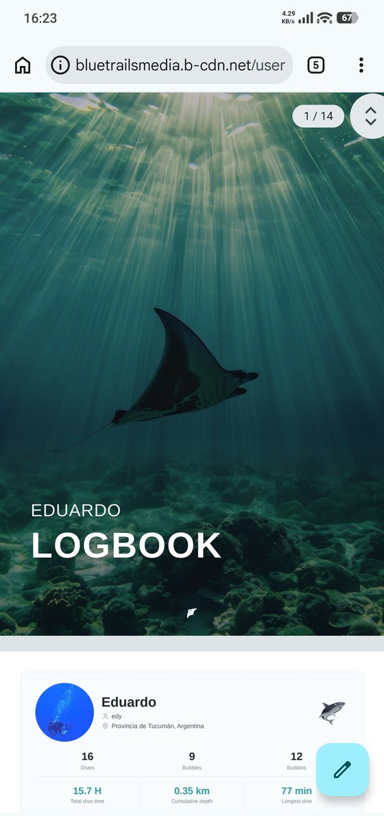The PDF logbook